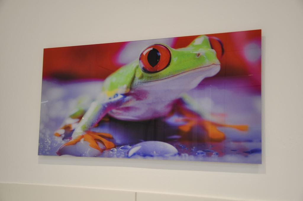 Appartamento Fewo Jager Willingen  Esterno foto